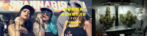 трава Верхний Тагил