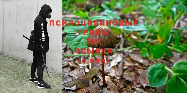 трава Верхний Тагил