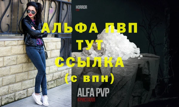 индика Сосновый Бор